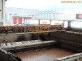 Depuración chocolate