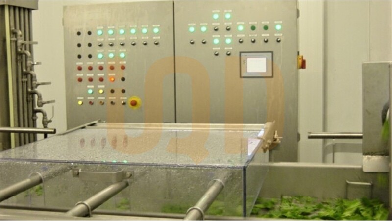 DesinfeccionProducto maquina lavadora de vegetales
